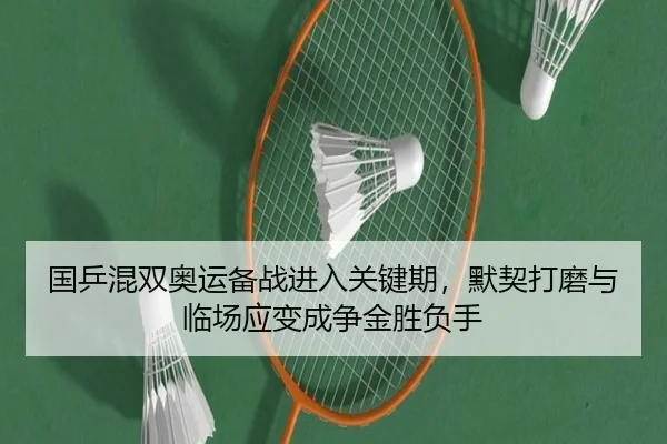 国乒混双奥运备战进入关键期，默契打磨与临场应变成争金胜负手